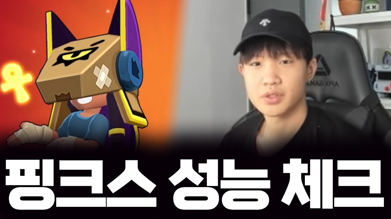 핑크스 성능체크 본이가 가본다