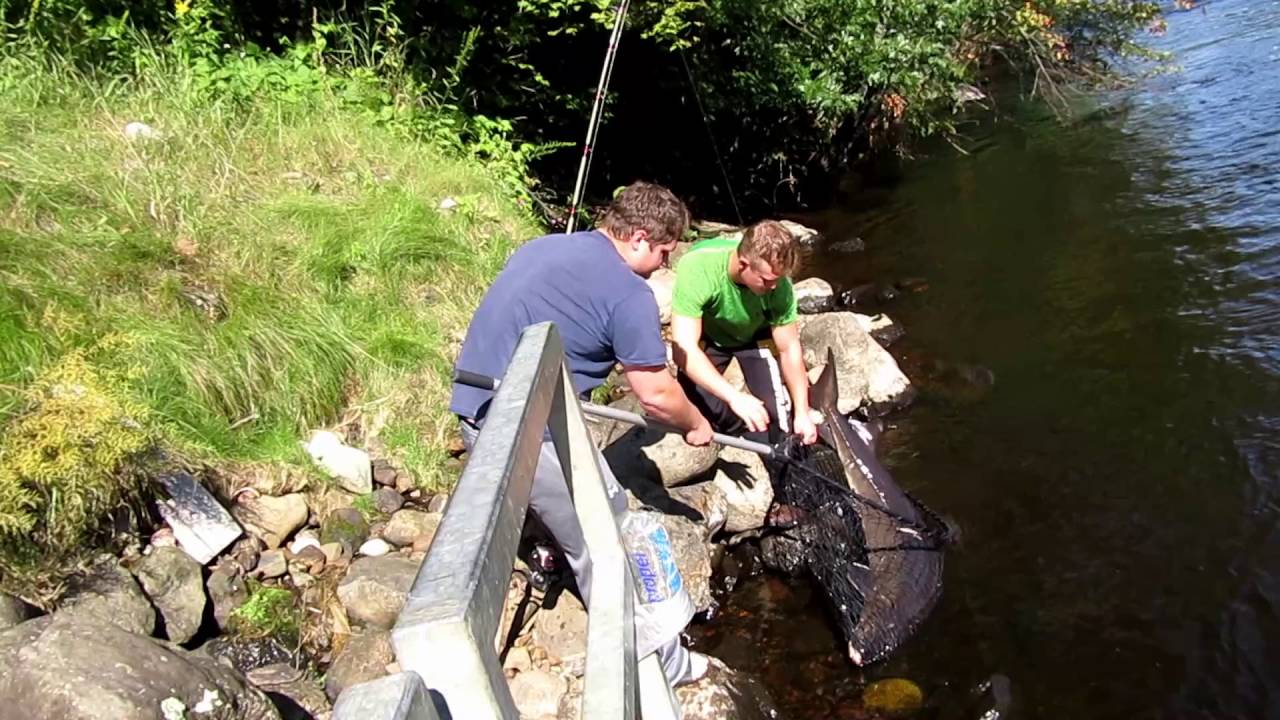 big fish by a dam site