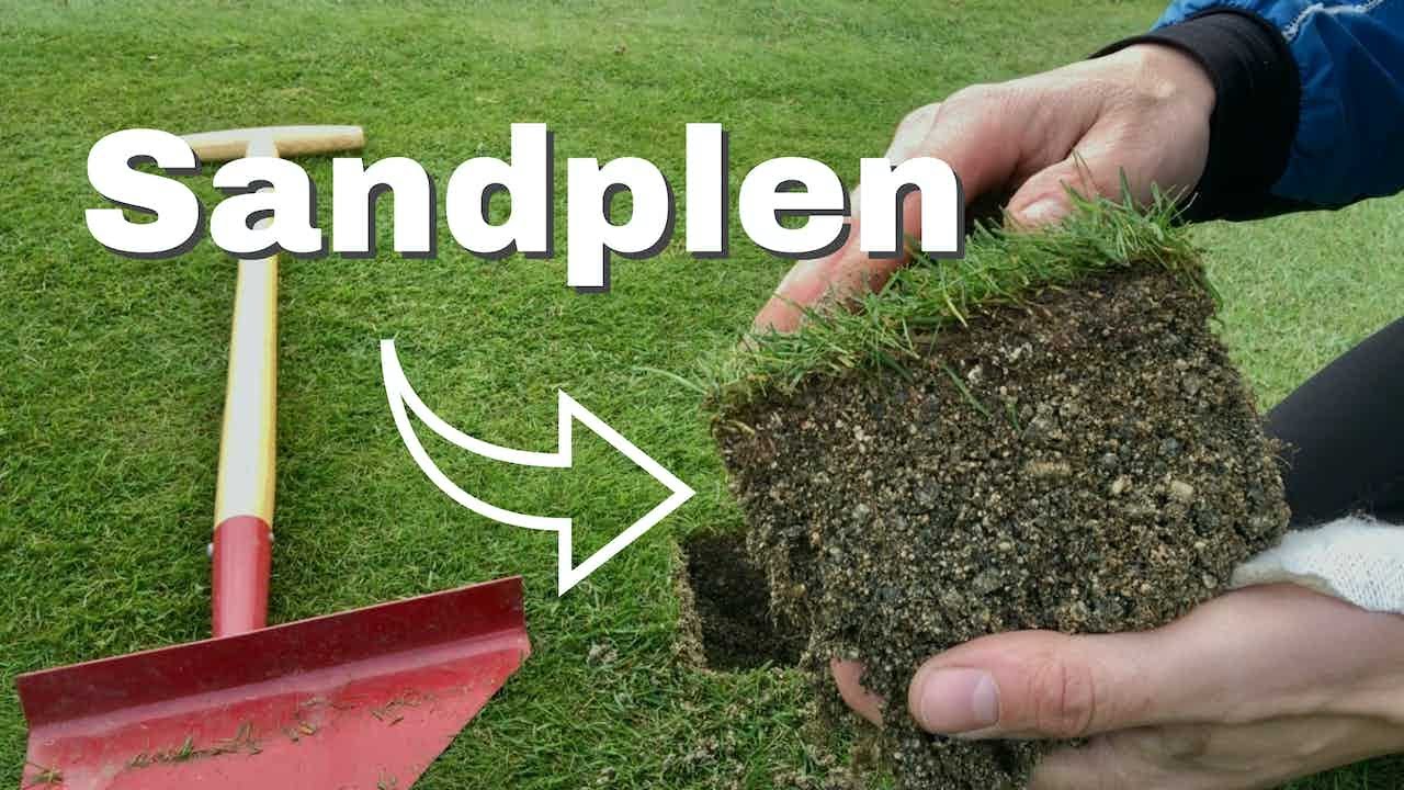 Norges Beste Plen! Sandplen = betongplen?