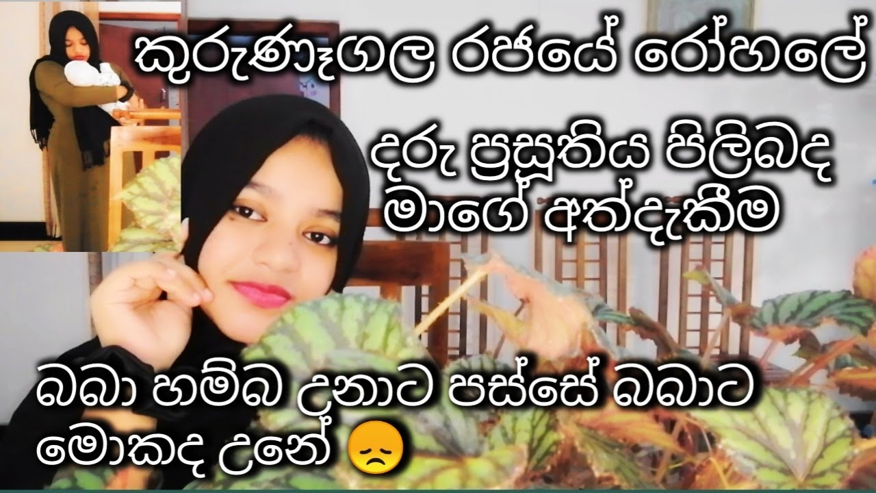 Birth story in kurunagala hospital(සිංහල) sri lankan government hospital