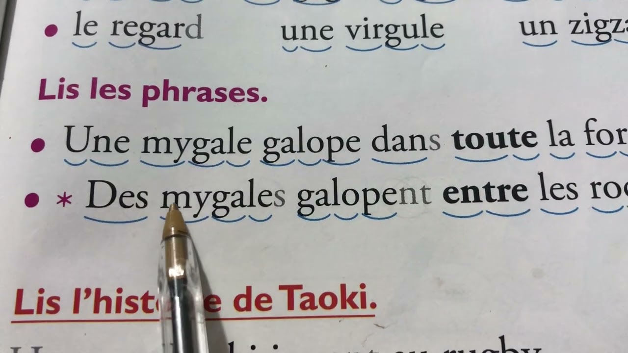 Identifier le son G dans les mots. Lire des mots avec ga, go,gu 