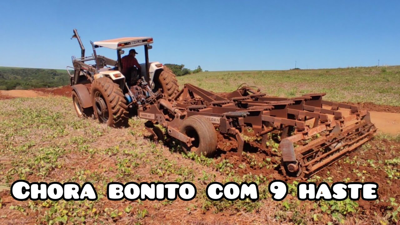 ARRUMANDO BEIRA DE ESTRADA e PLANTANDO TRIGO