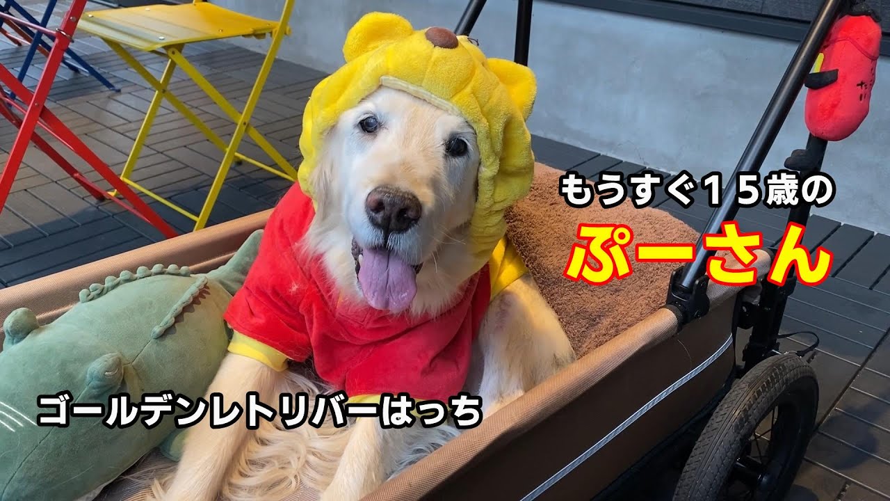 【体の事】破裂したシコリも順調に回復しました。