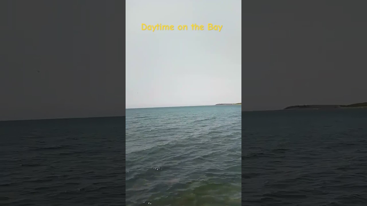 Daytime on the Bay 