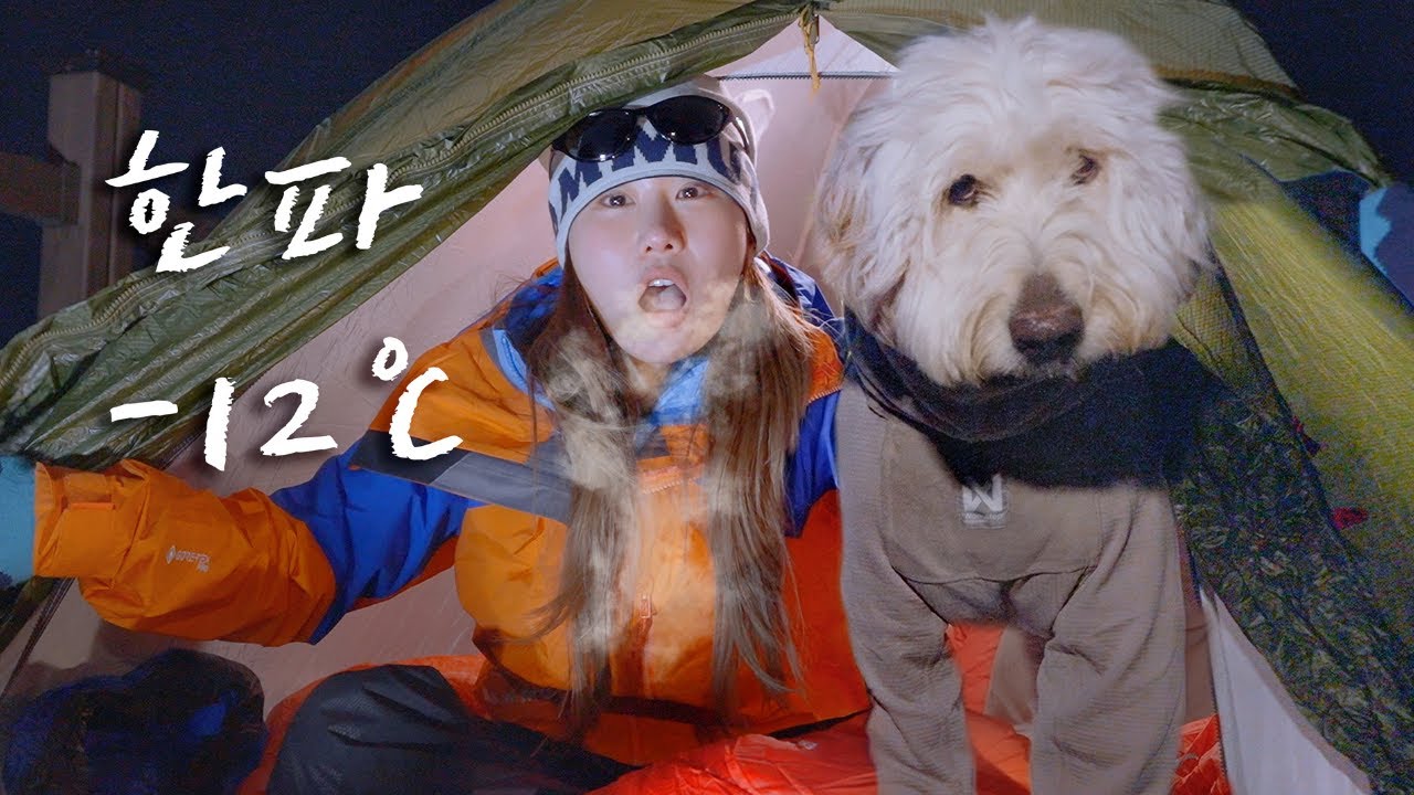 반려견과 영하 12도 산속 동계백패킹 .. 괜찮을까? / 헬리녹스 오뎅탕과 백화수복 데워먹기