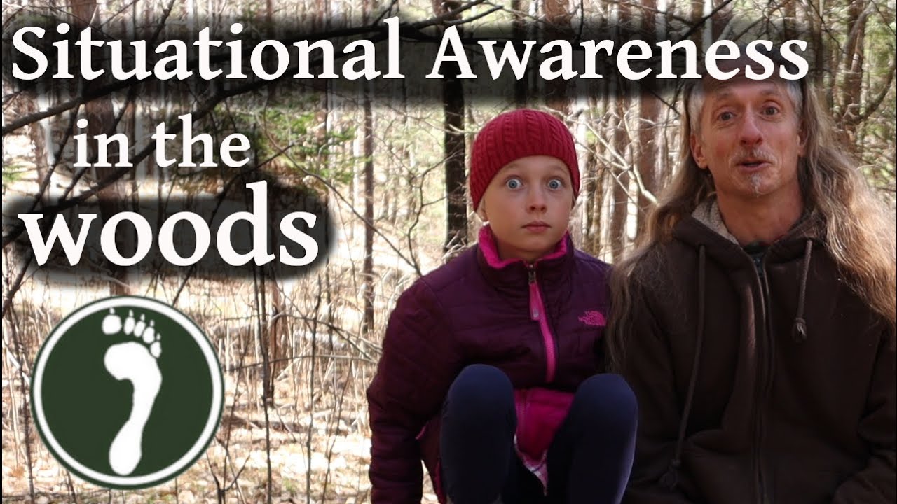 Rewilding Basics: Looking Up -- the first step toward situational awareness in the woods.
