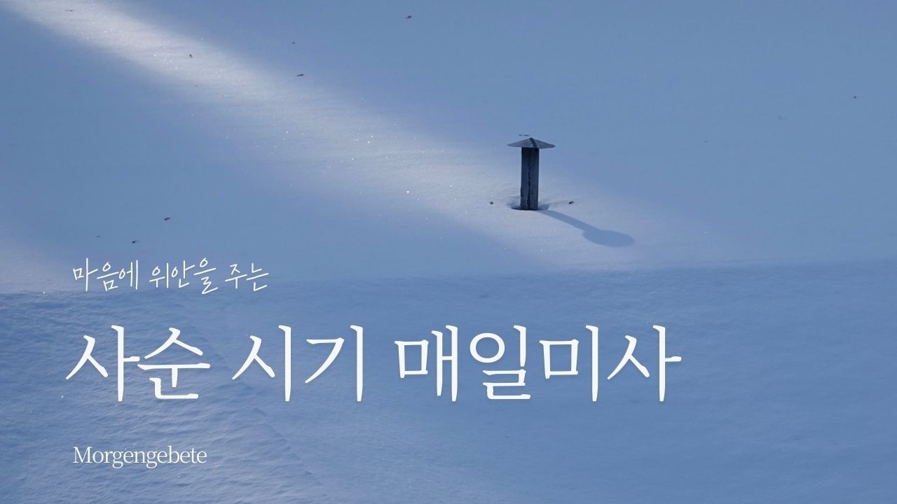 사순 시기 매일미사 · 묵상 🌙 | 사순 제1주간 월요일 2026.2.23