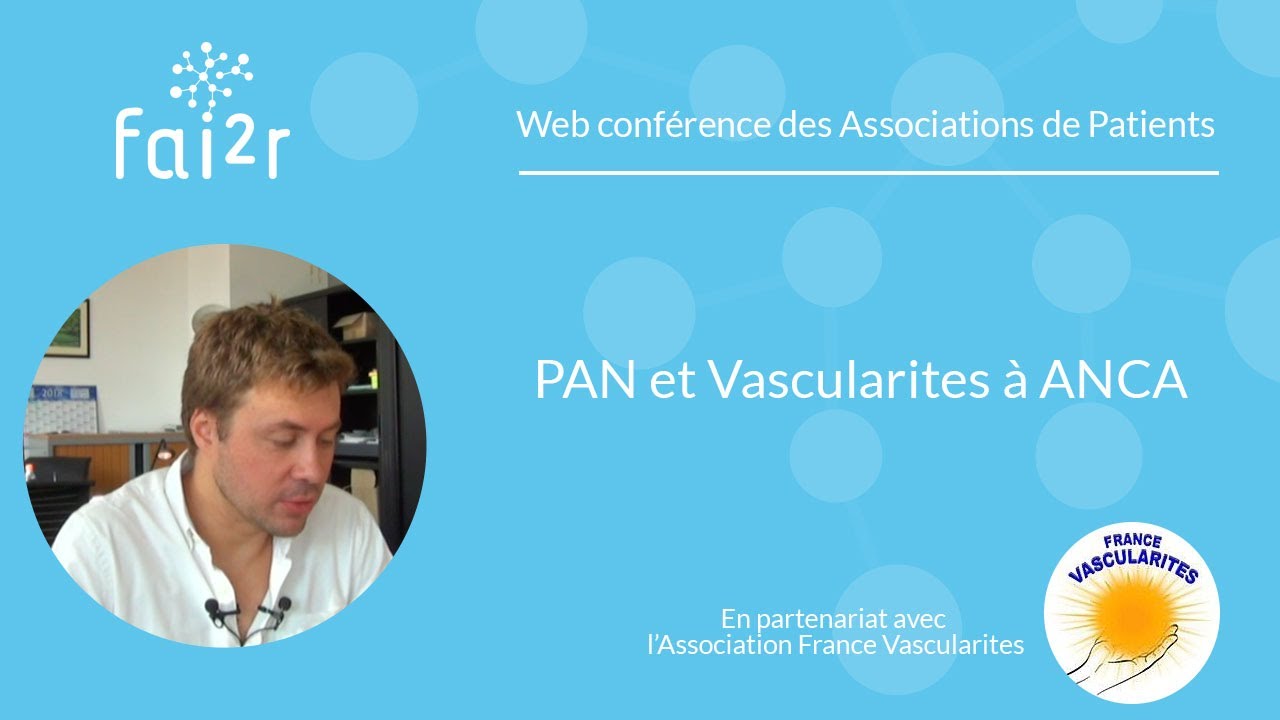 Périartérite noueuse (PAN) et vascularites à ANCA