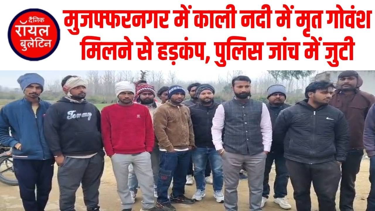 मुजफ्फरनगर में काली नदी में मृत गोवंश मिलने से हड़कंप, पुलिस जांच में जुटी