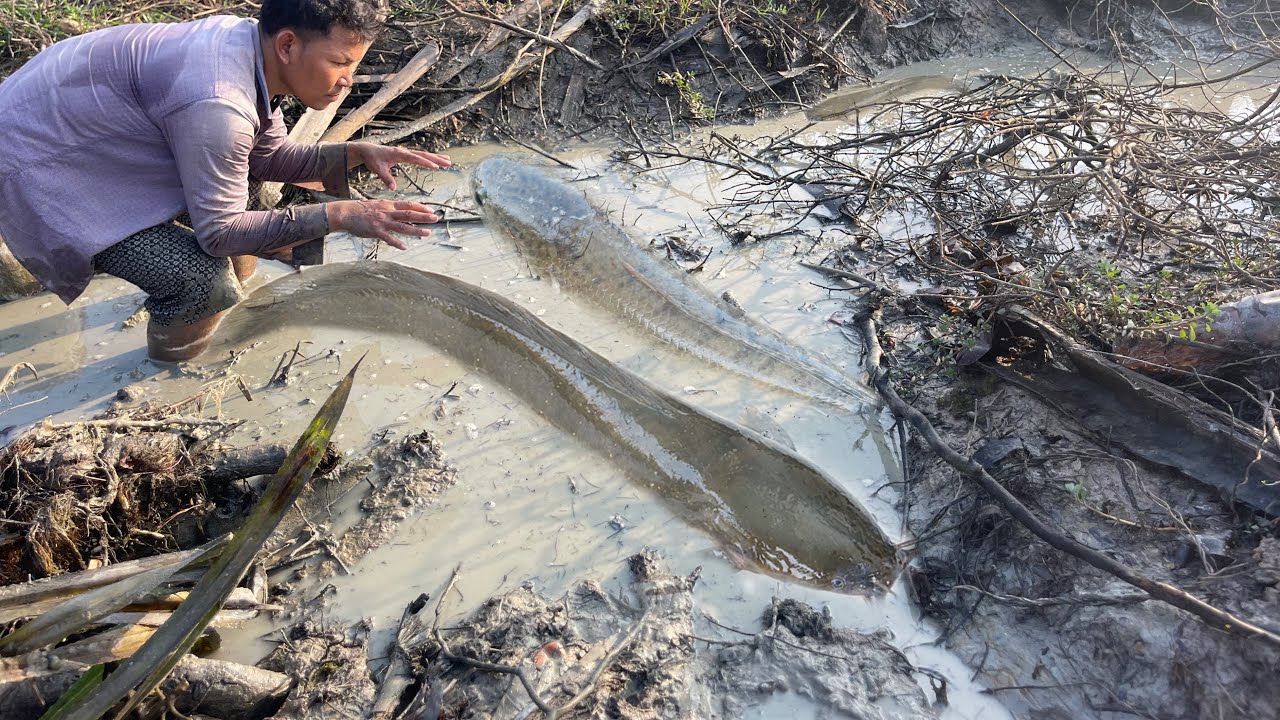 Fishing and catching fish, fishing in the countryside, is the most popular activity among villagers 