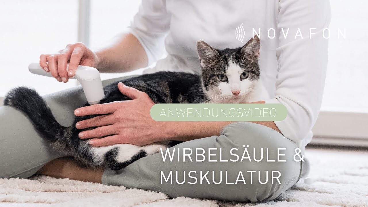 Wirbelsäule der Katze und Rückenmuskulatur behandeln | Anwendungsvideo | NOVAFON