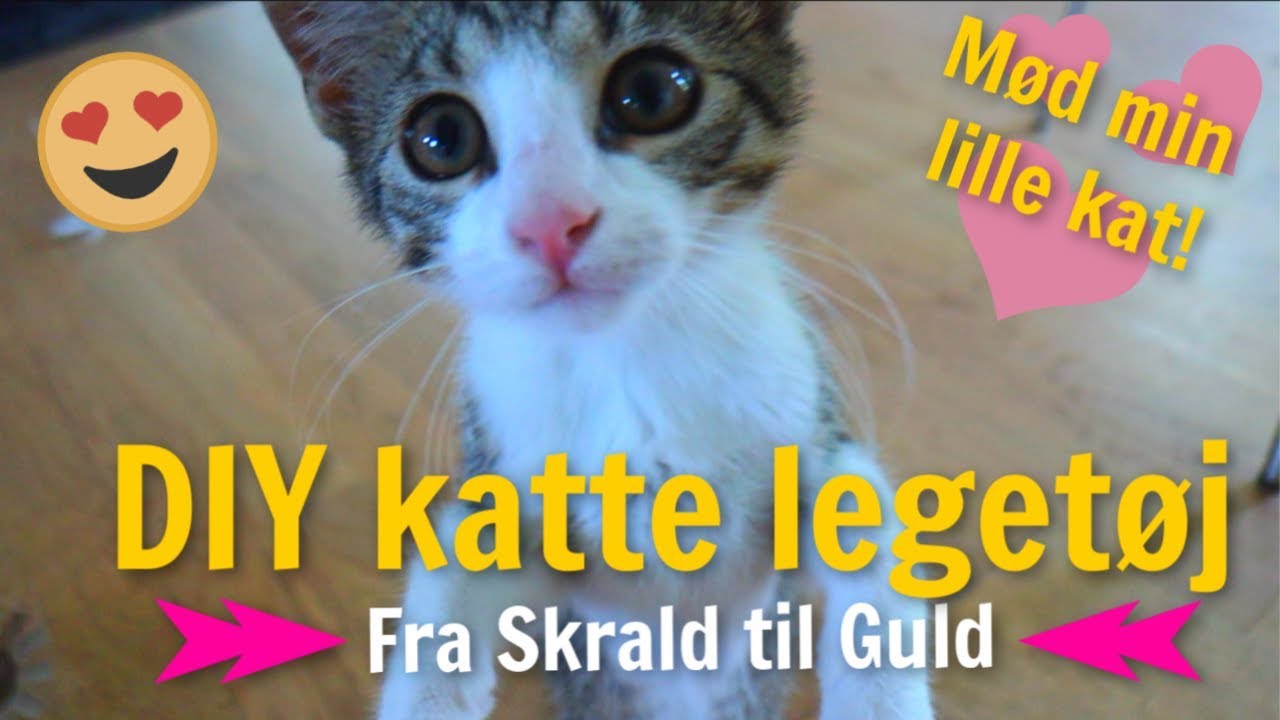 DIY katte legetøj // Fra skrald til Guld