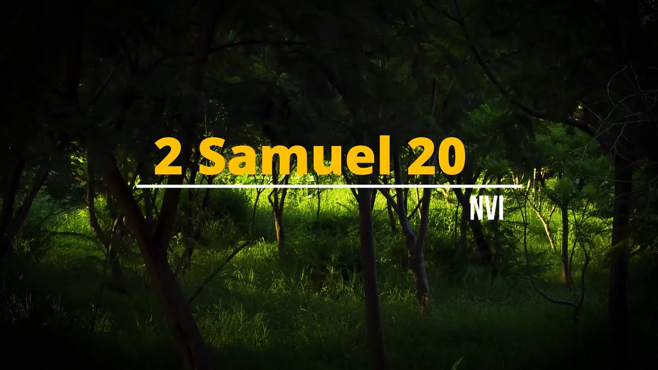 2 Samuel 20   A REVOLTA DE SEBA