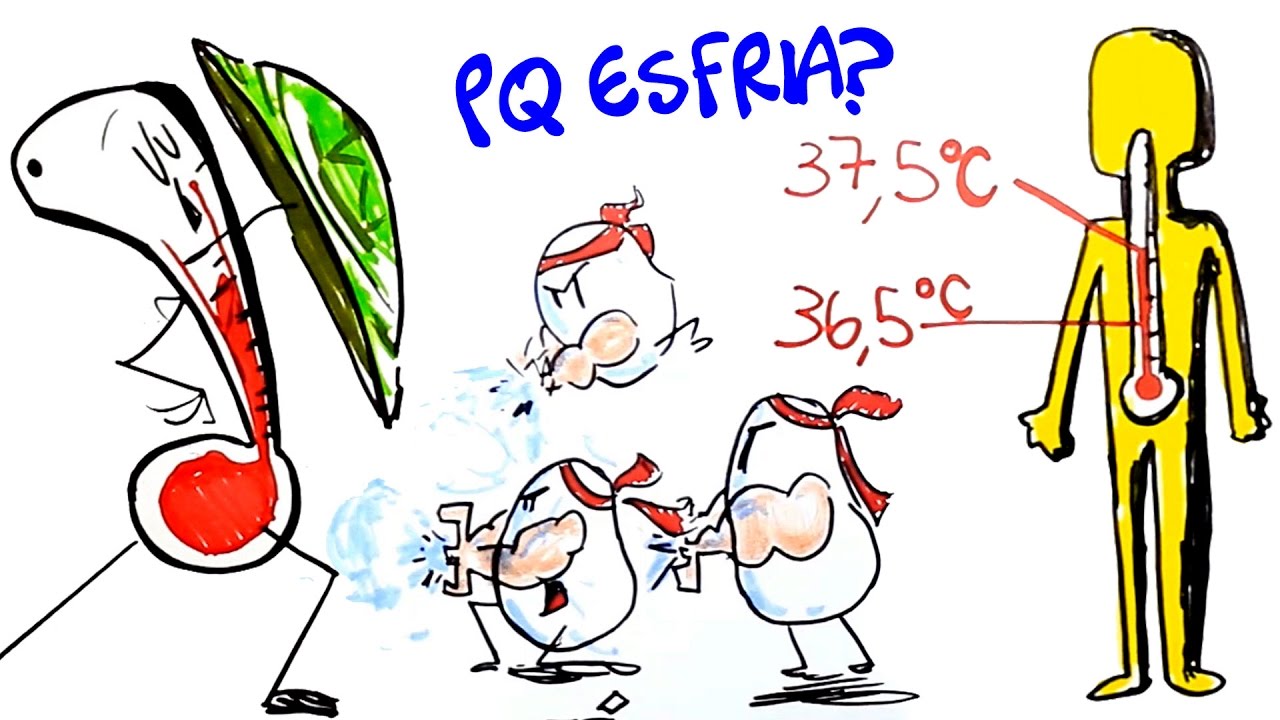 Se febre esquenta o corpo, por que sentimos frio? #D&uacute;vidaCruel 10