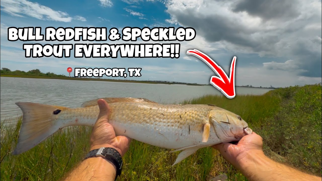Catching Bull Reds and Speckled Trout ALL DAY!! (Catch & Cook) | Freeport, TX