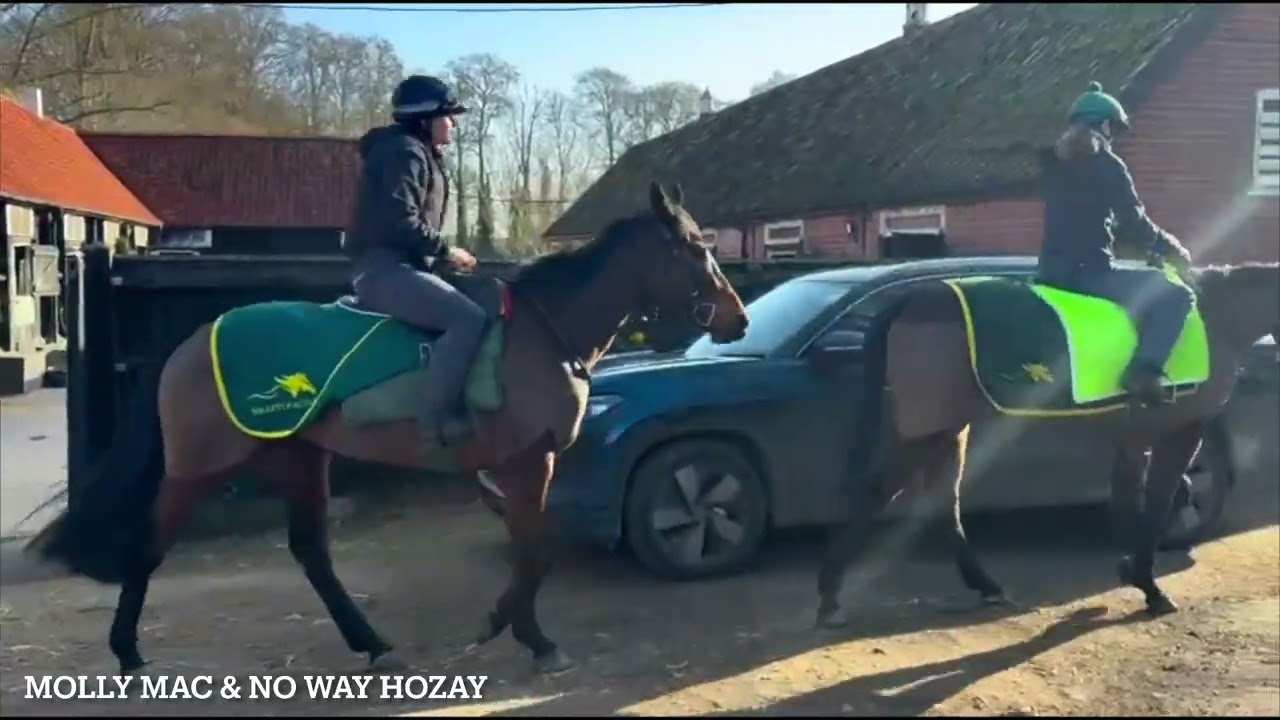 Gallops 14/03/2026- Birkett Racing