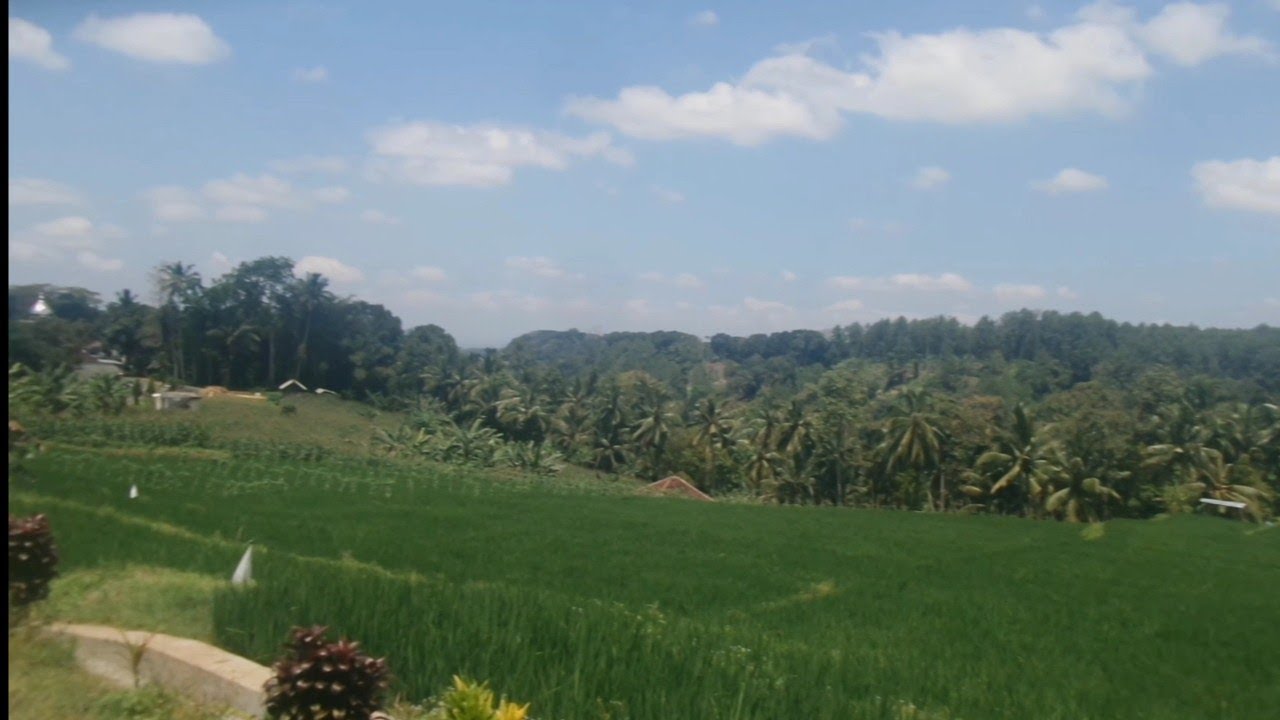 Perjalanan Desa Pakel Banyuwangi