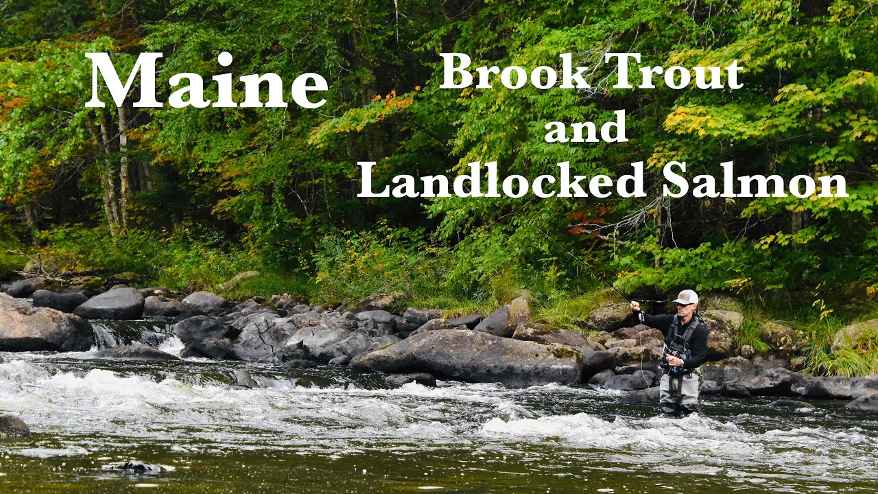 EURO NYMPHING:  MAINE Brook Trout and Landlocked Salmon