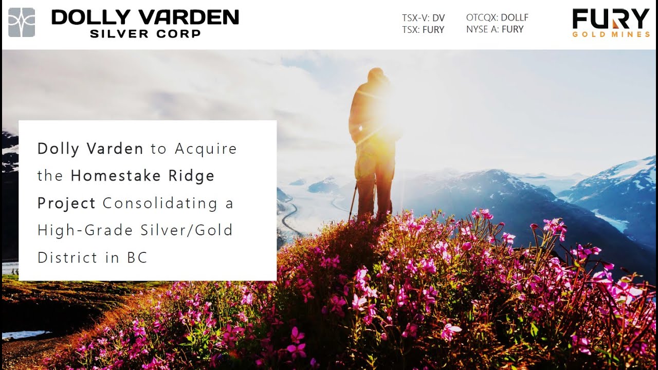 Dolly Varden and Fury to Consolidate Emerging Canadian Silver-Gold District in the Golden Triangle
