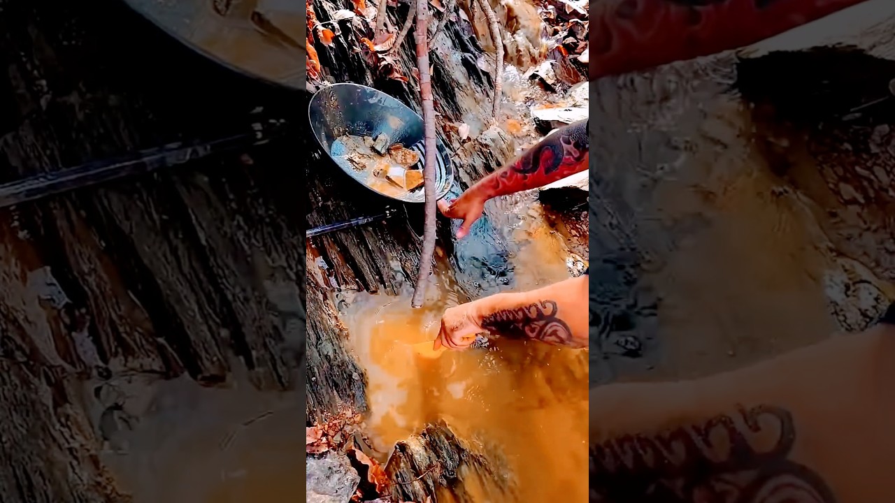 Gold #goldpanning #goldprospecting #amazingfact#nature #goldpicker #goldaddict #goldhunter #treasure