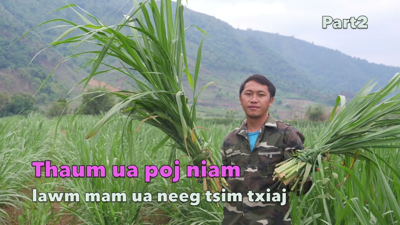 Thaum ua niam mam ua neeg tsim txiaj part 2   5/04/2022