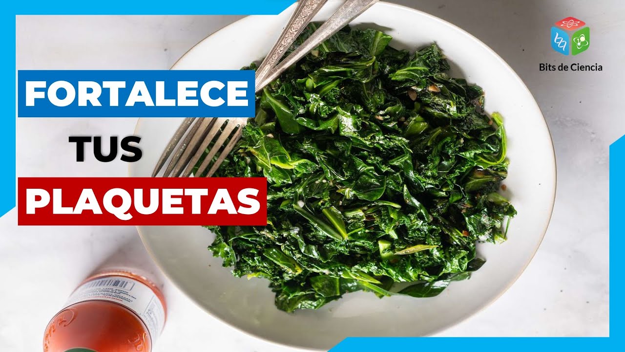 ▷ RECARGA TUS PLAQUETAS CON ESTOS ALIMENTOS 🥦🥬