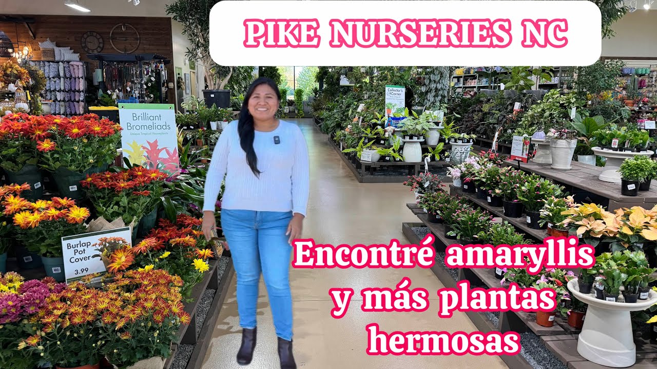 Amaryllis Azucenas  y muchas plantas de interior en el Vivero de Pike Nurseries NC 