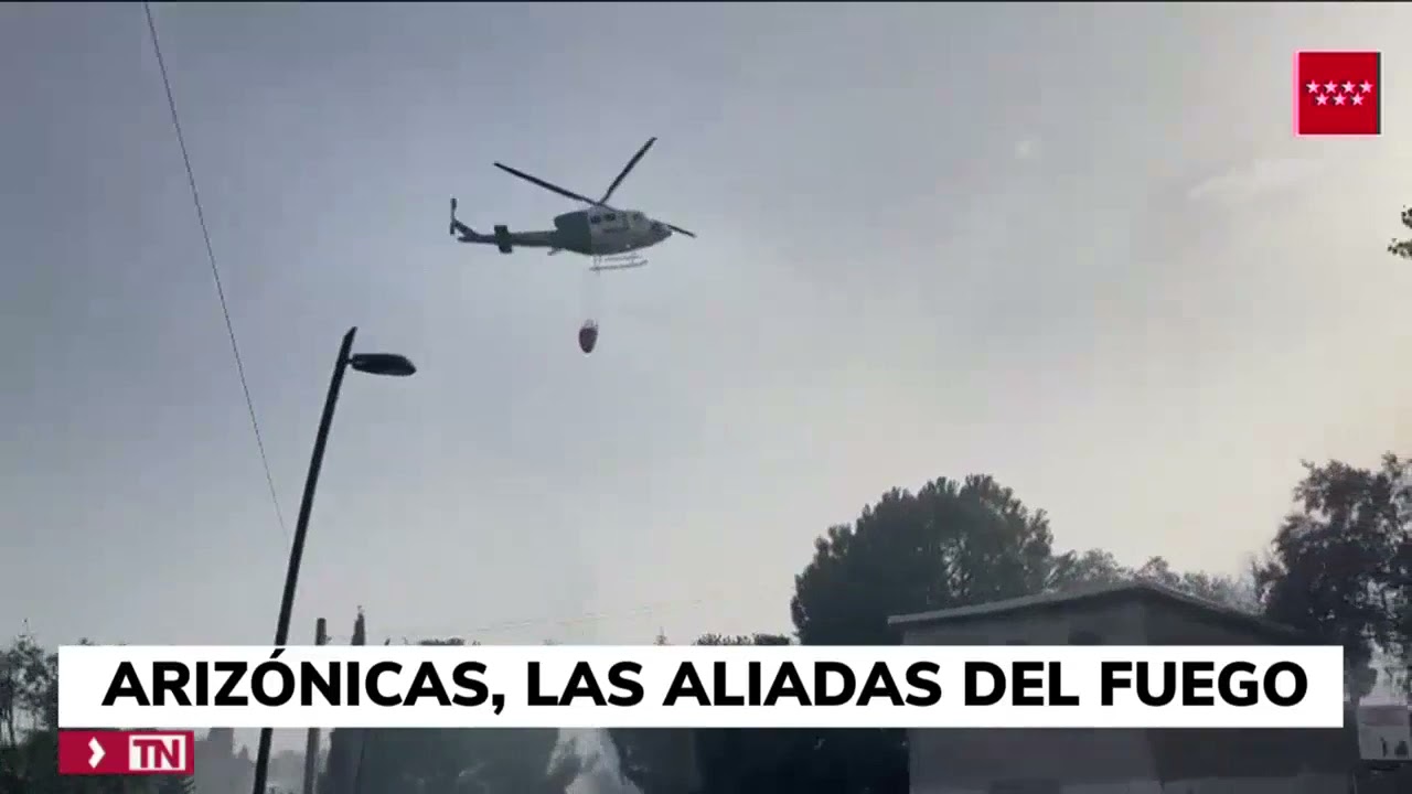 El riesgo de incendio de los setos de ariz&oacute;nicas