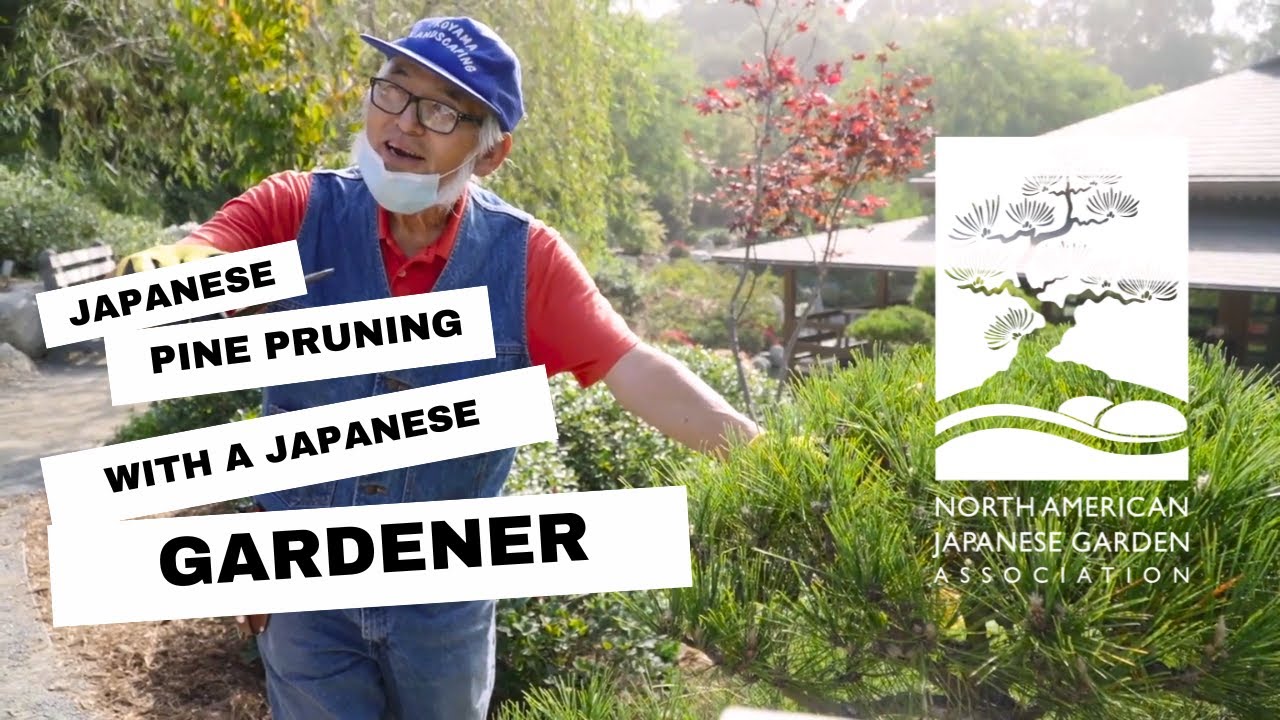 Pruning with Glenn Koyama