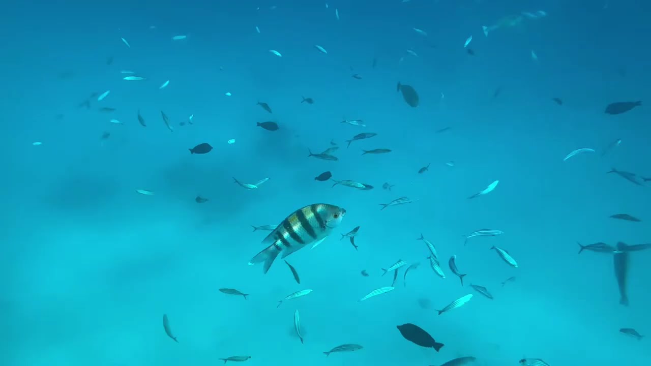 Red sea - Grand Makadi  Hotel - Hurghada