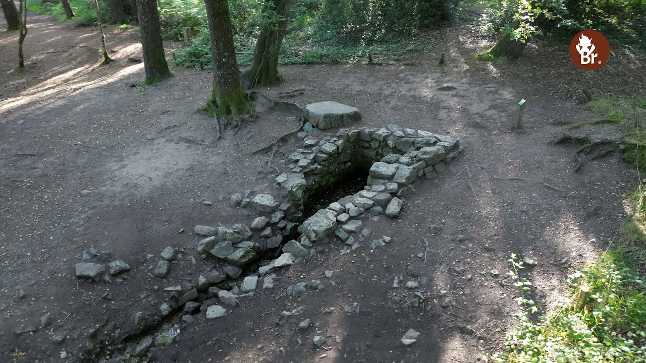 A la d&eacute;couverte de la Fontaine de Barenton en for&ecirc;t de Paimpont