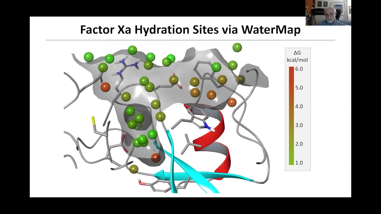 Richard Friesner: Computational Methods for Structure Based Drug Discovery