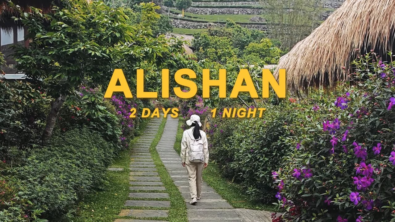 2D1N in Alishan — Sunrise, Forest Walks & Scenic Train Journey | 4K Taiwan