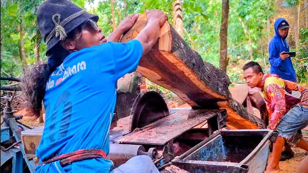 Ekstrim !! Terlalu keras kayu jowar