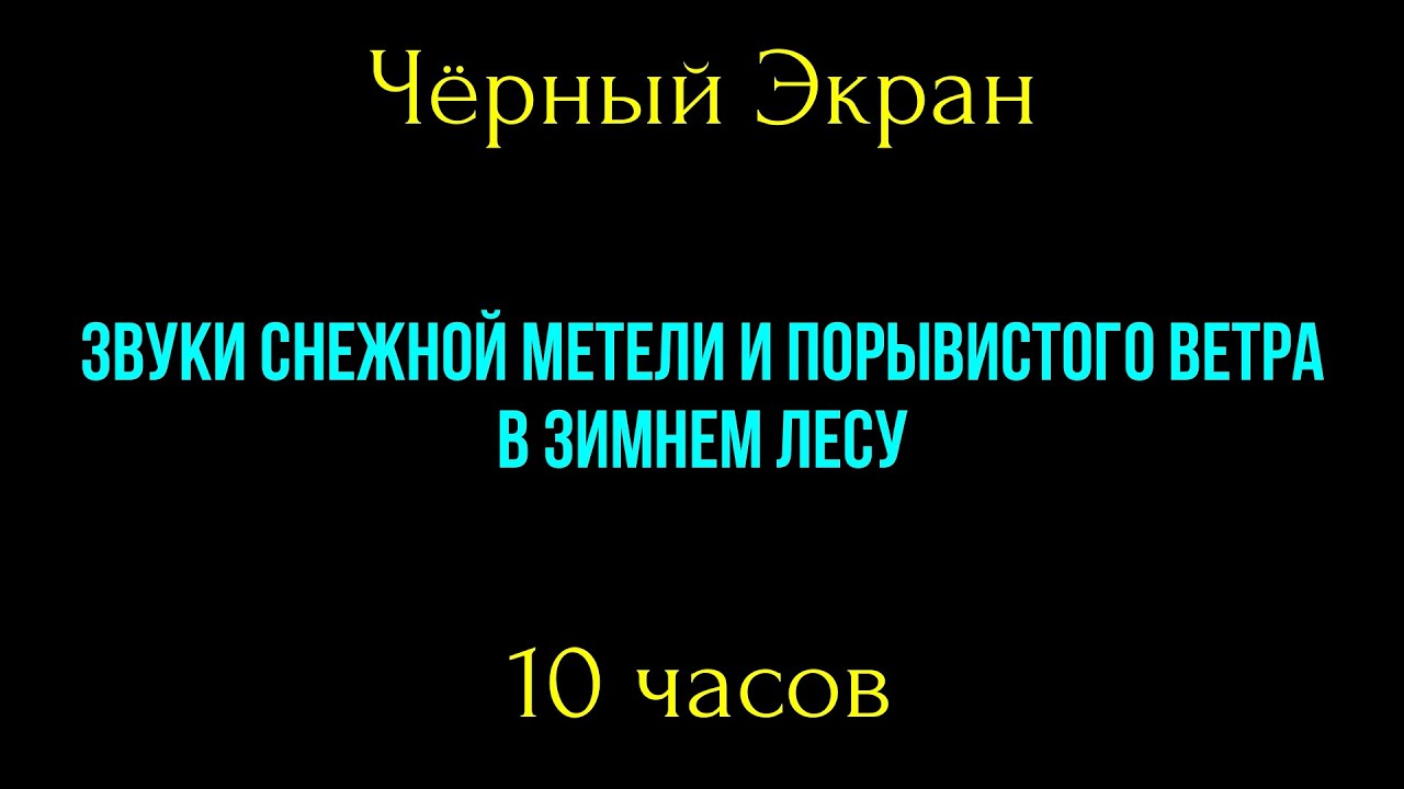 Звуки метели и сильного ветра в лесу. Чёрный Экран 10 часов. Звуки снежной метели для сна, релакса.
