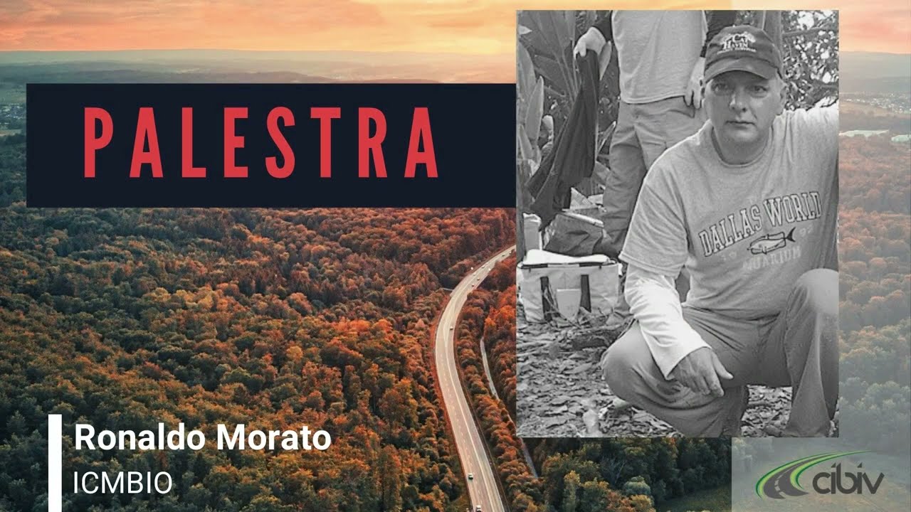 Ronaldo Morato | Palestra