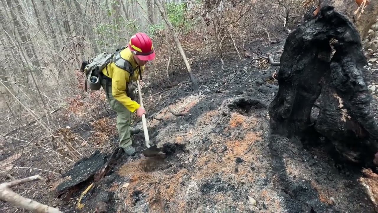 FAQ: What is the 'mop up' stage of wildfire suppression?