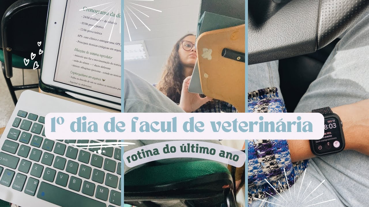1º DIA DE FACUL | Minha rotina do 9º período de veterinária - Isabella Rossini