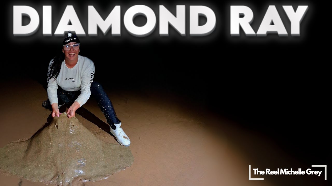 Biggest Shad Caught + Diamond Ray Back-to-Back!