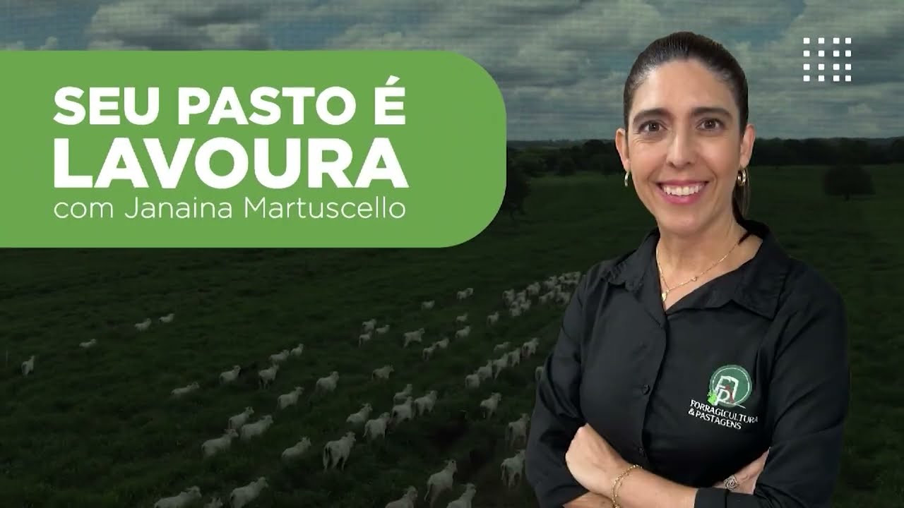 ADUBAÇÃO DE COBERTURA NA PASTAGEM: ESTAS DICAS FAZEM VOCÊ COLHER O MÁXIMO DE RESULTADO