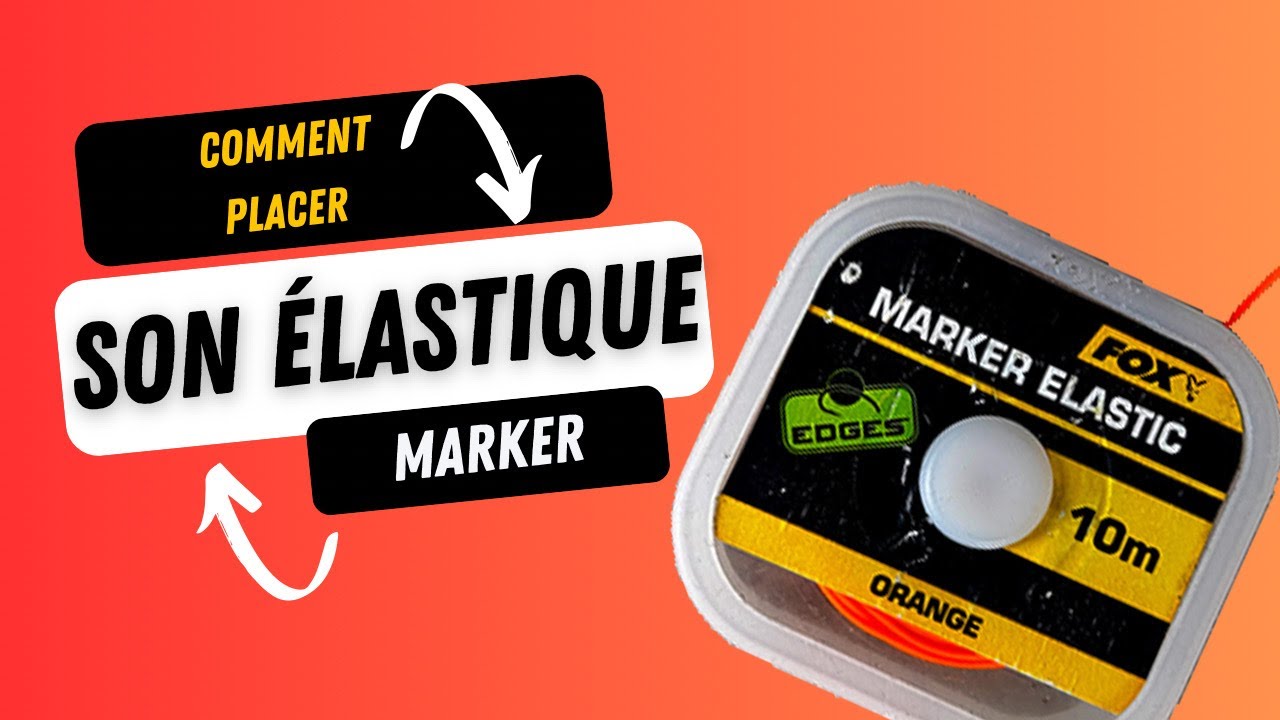 Pêche de la carpe 2024 // NOEUD élastique Marker et positionnement.