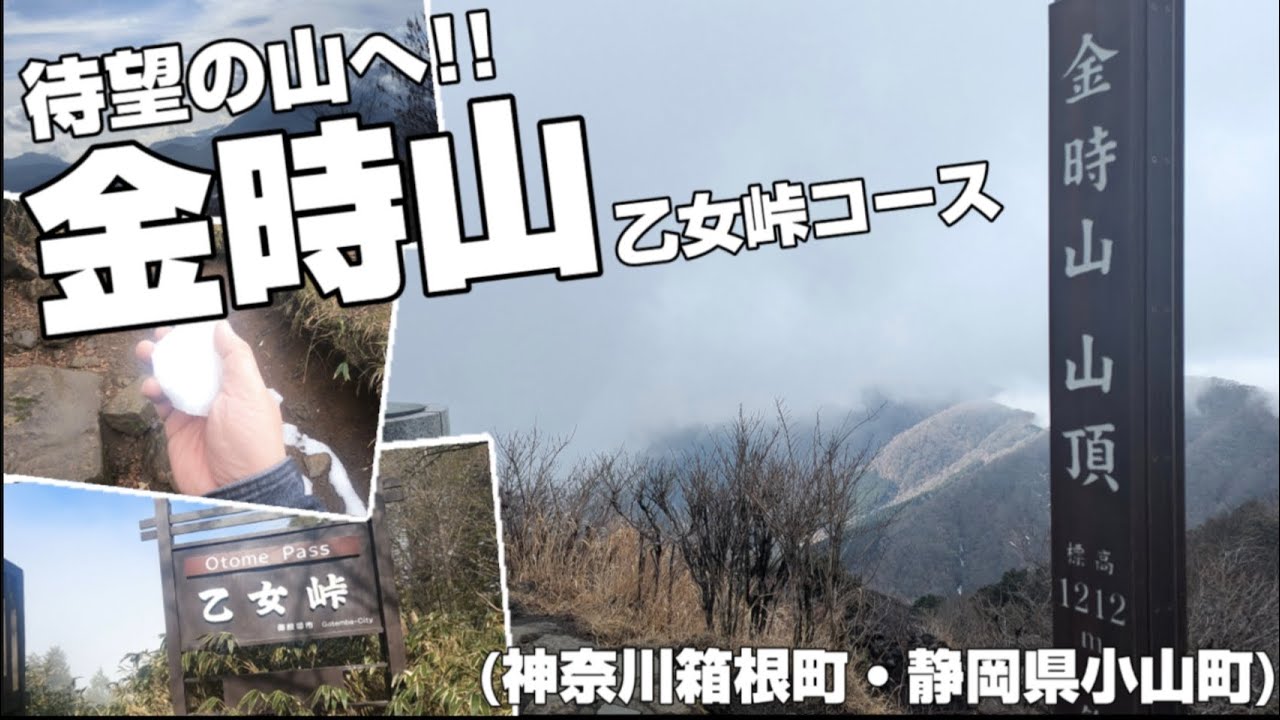 待望の山へ!!　金時山　乙女峠コース