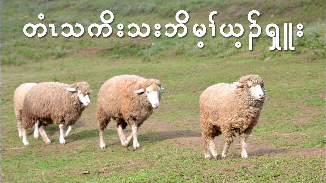 Hymn, What a Friend We Have in Jesus in Karen by Eh Wah & Eh Ler Tha