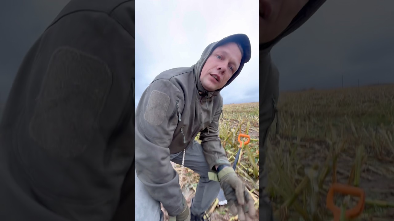 Это невероятно!!! #находки #metaldetecting #коп #xpdeus2 #metaldetector #копатель