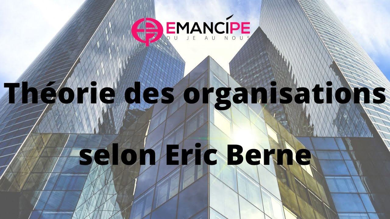 Une définition de la TOB - Théorie des organisations selon Berne