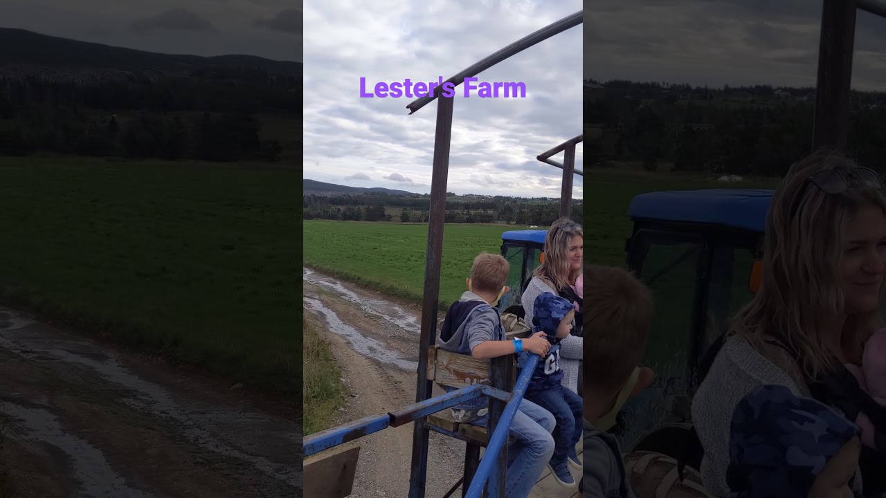 Wagon ride at Lester's Farm St.John's Newfoundland Canada