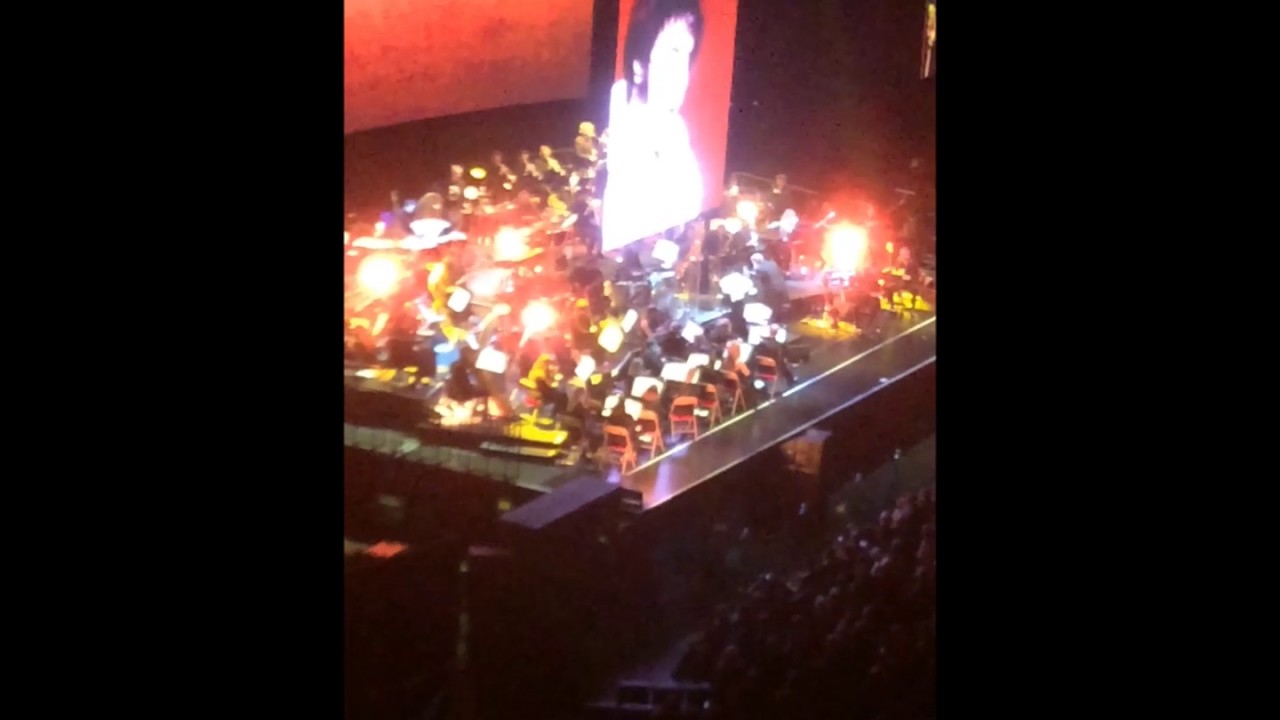 Arlene ELVIS OPENING NIGHT