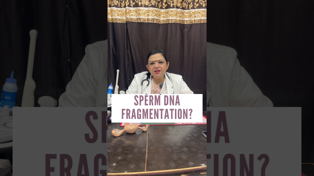 What is sperm DNA fragmentation test #drshobhagarg