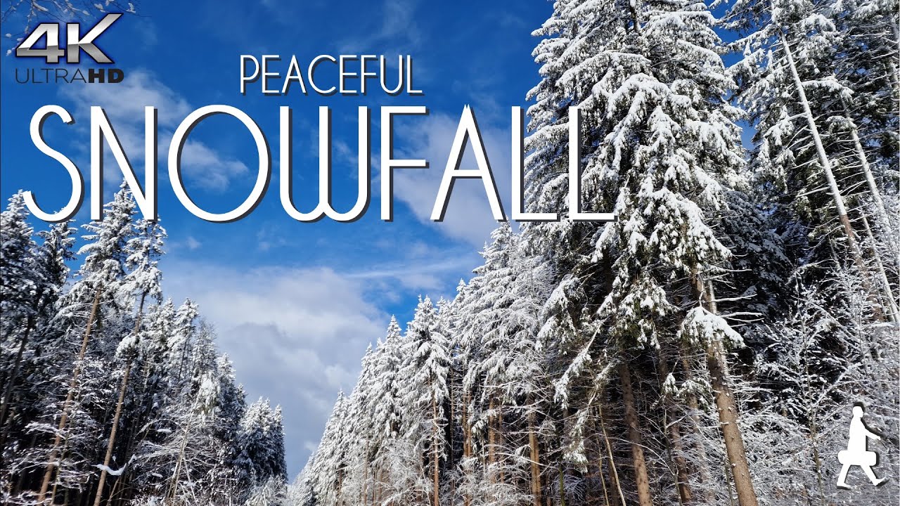 Tranquil Snowfall in Bavaria | Relaxation & Study | Soothing Nature Sounds 1 Hour 4K UHD Video