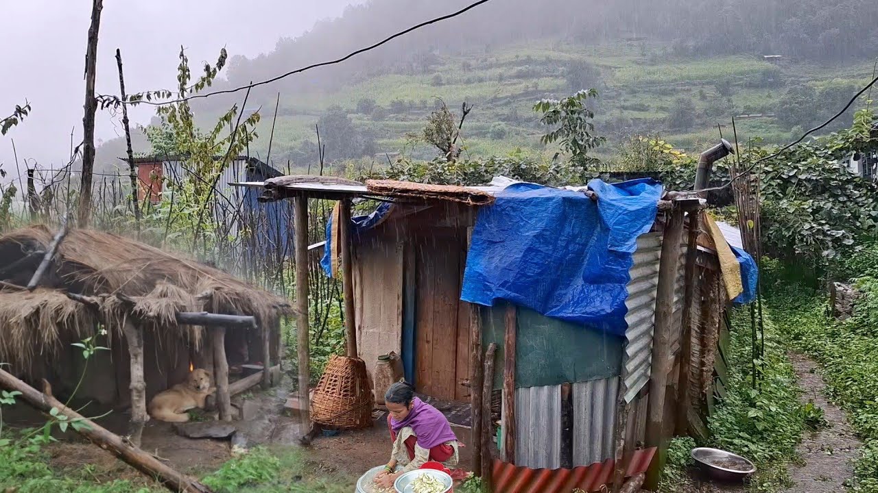 Nepali Mountain village life into the Rainy Season || Daily Activities of Rural village in Nepal |